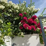 Villa Maris