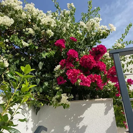 Vila Maris